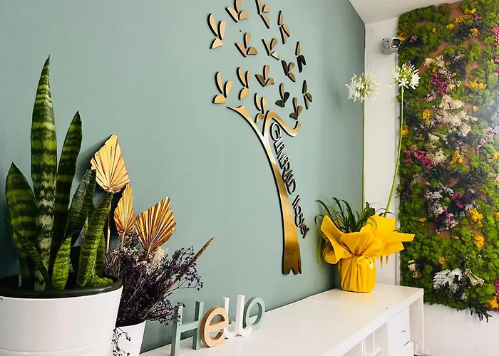 Glemerald Auberge de jeunesse